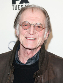 大卫&middot;布莱德利